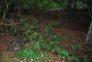 2011-10-09 WANDELING SMULROUTE (76)