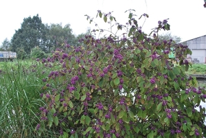 2011-10-09 WANDELING SMULROUTE (8)