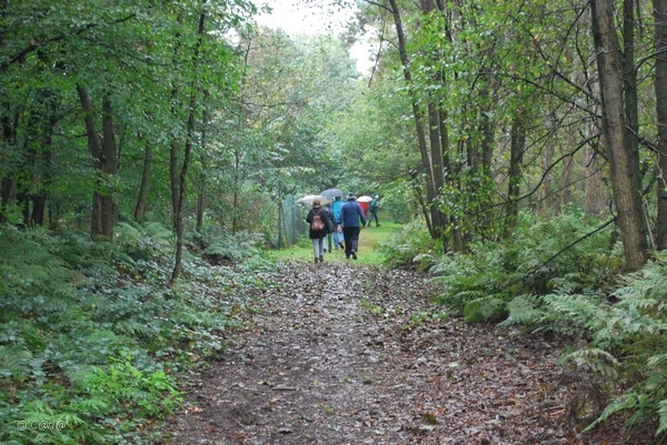 2011-10-09 WANDELING SMULROUTE (80)