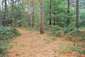 2011-10-09 WANDELING SMULROUTE (86)