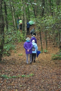 2011-10-09 WANDELING SMULROUTE (88)
