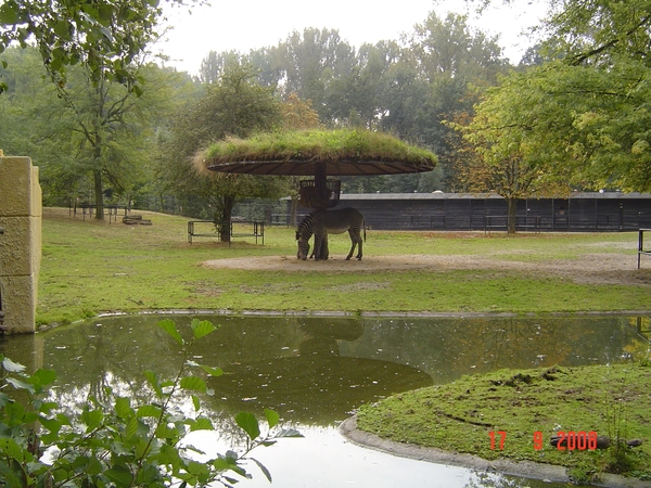 uitstap Planckendael 17-9-08 012