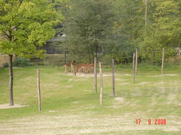 uitstap Planckendael 17-9-08 017