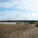 DSC03921