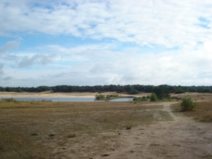 DSC03921
