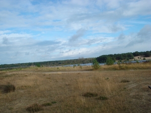 DSC03922