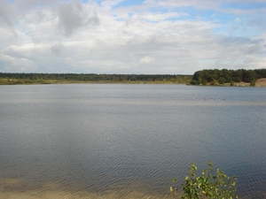 DSC03929
