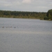 DSC03930