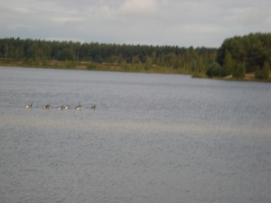 DSC03930