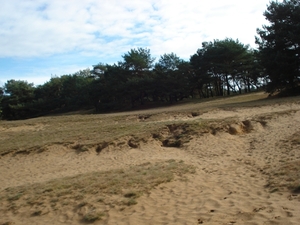 DSC03932