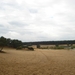 DSC03954