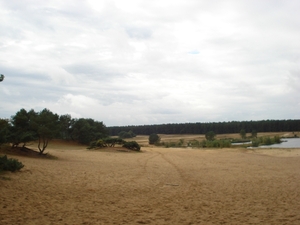 DSC03954