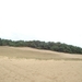 DSC03955