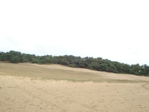 DSC03955