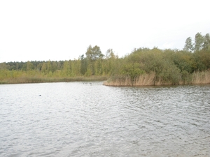 DSC03958
