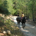 Wandeling in Theologos