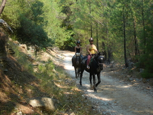 Wandeling in Theologos
