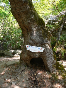 Wandeling in Theologos