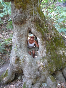 Wandeling in Theologos