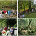 Wengen blausee2