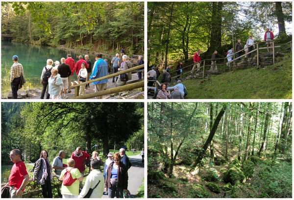 Wengen blausee2