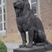 kastelen derde reeks 008