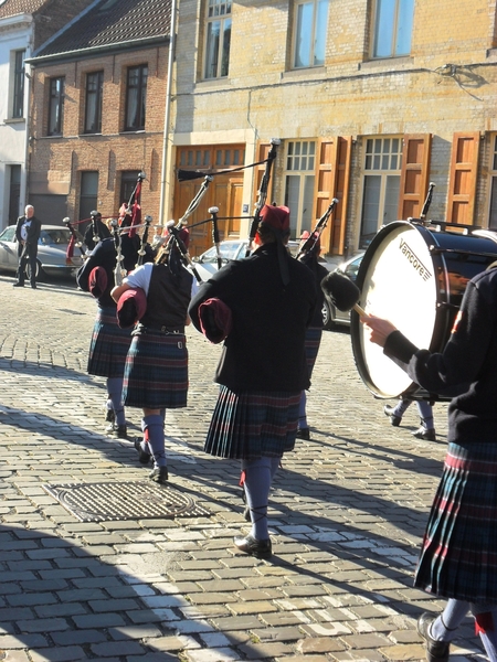 foto s van waasm 013