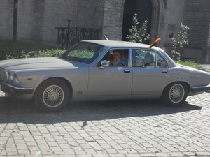 foto s van waasm 033