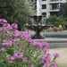 Ieper 005