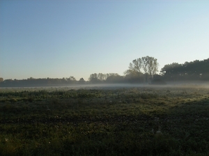 Heusden Oktober 2011 002