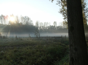 Heusden Oktober 2011 003