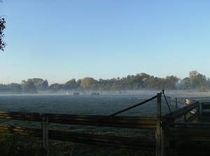 Heusden Oktober 2011 005