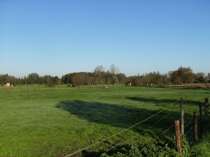 Heusden Oktober 2011 006