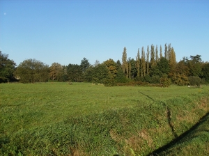 Heusden Oktober 2011 008