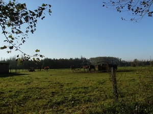 Heusden Oktober 2011 014