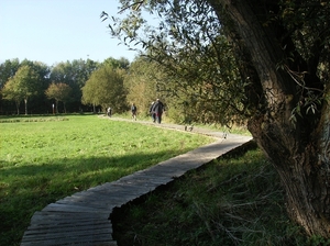 Heusden Oktober 2011 024