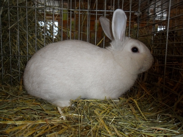 Imported Photos 00019