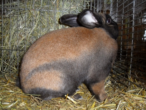 Imported Photos 00024