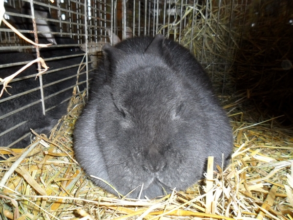 Imported Photos 00026