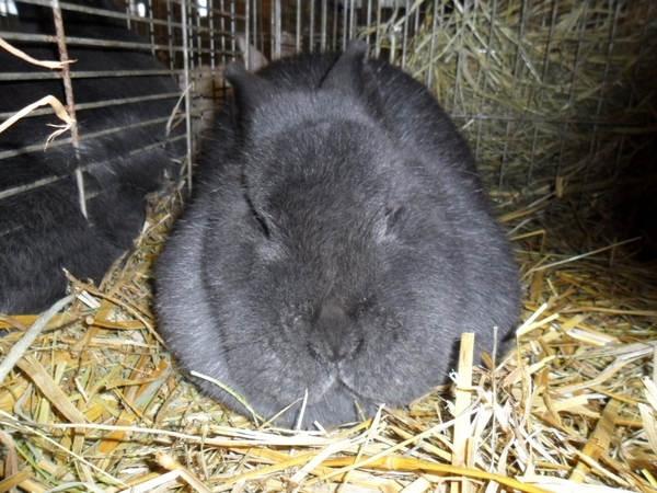 Imported Photos 00027