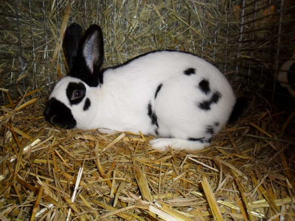 Imported Photos 00030