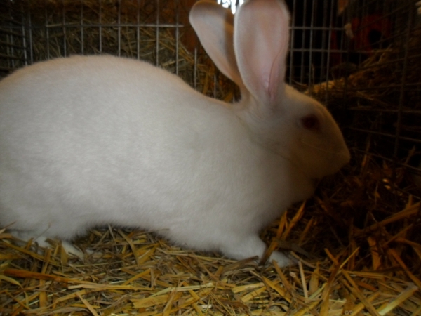 Imported Photos 00047