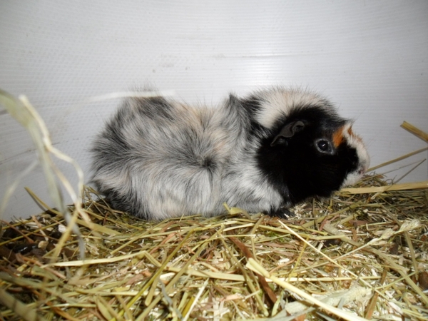 Imported Photos 00058