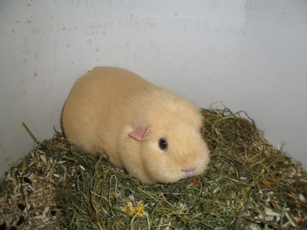 Imported Photos 00065