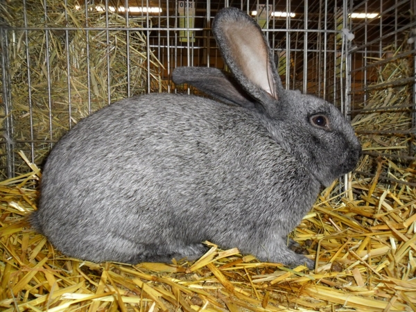 Imported Photos 00067