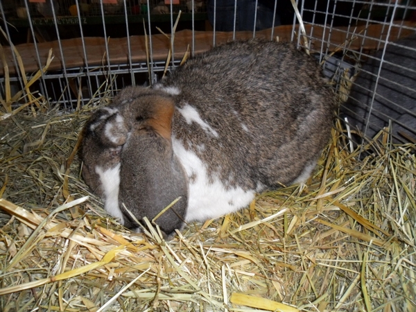 Imported Photos 00073