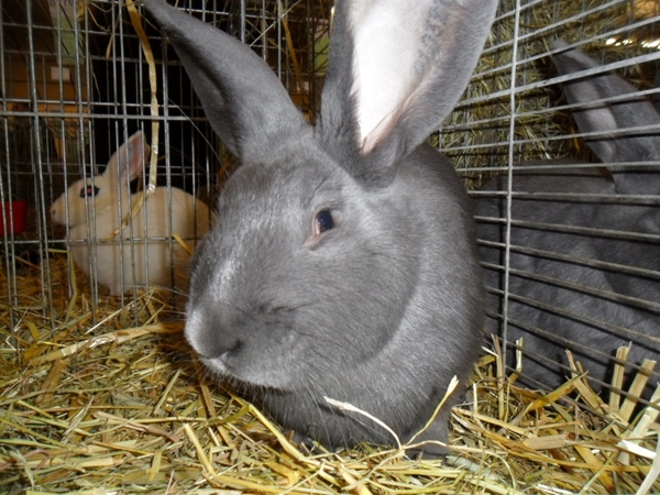 Imported Photos 00078