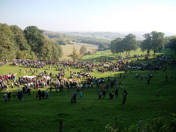 049-Paardenfeest op de Catsberg