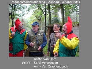 Paddenstoelen