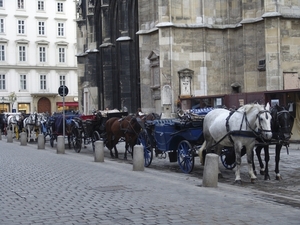 Stephansdom - fiakers